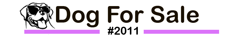 The Dog for sale Logo